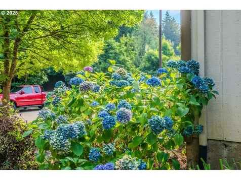 37702 Hamilton Ridge Drive Sandy OR 97055