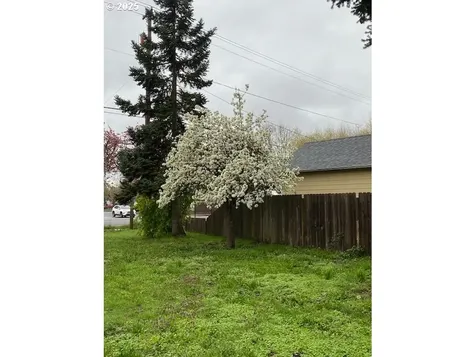 3308 Wisteria Street Eugene OR 97404