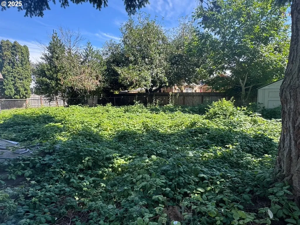 8162 N Druid Avenue Portland OR 97203