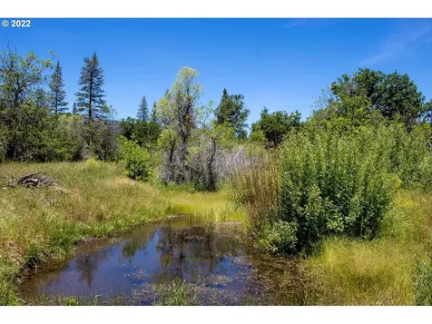 10000 Copco Road Ashland OR 97520