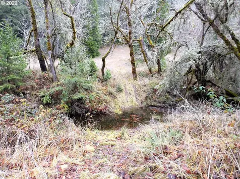 1936 Bilger Creek Road Myrtle Creek OR 97457