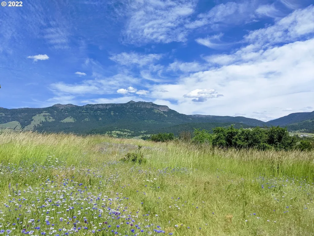 0 Rose Ridge Road Cove OR 97824