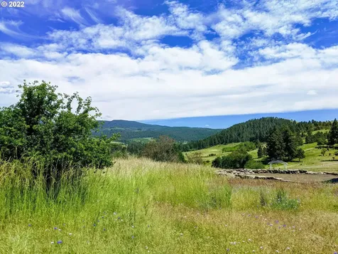 0 Rose Ridge Road Cove OR 97824