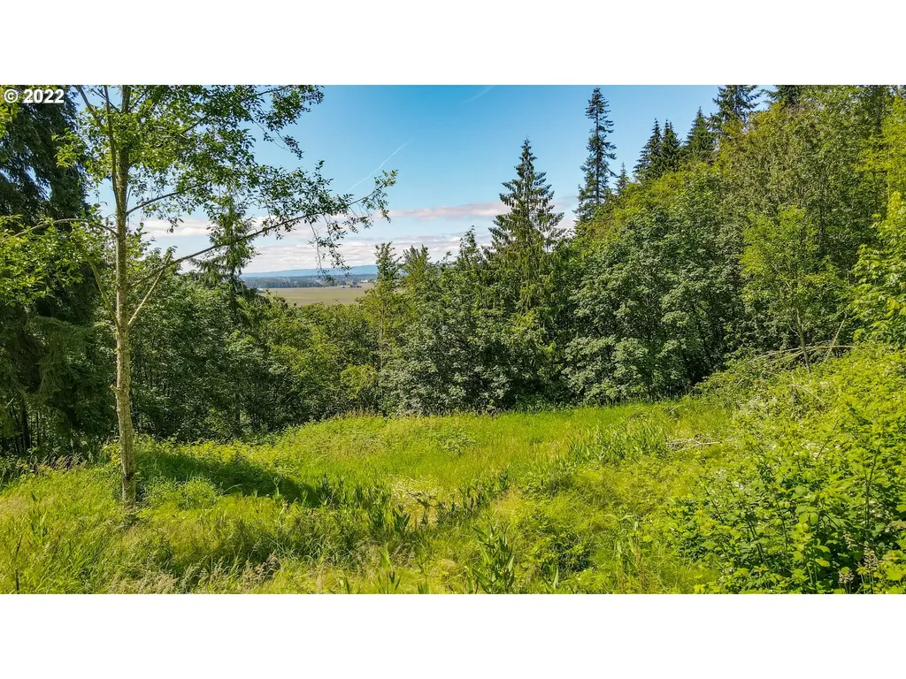 0 Columbia View Drive Woodland WA 98674