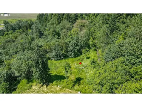 0 Columbia View Drive Woodland WA 98674