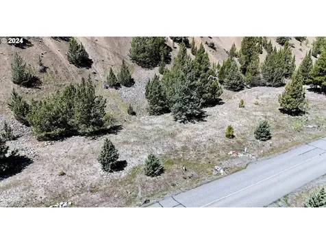 2700 Elkview Drive Canyon City OR 97820