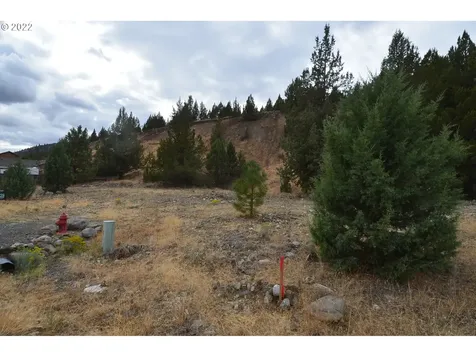 2700 Elkview Drive Canyon City OR 97820