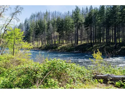 47987 Mckenzie Highway Vida OR 97488