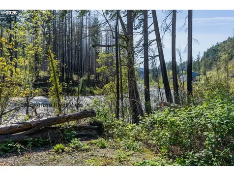 47987 Mckenzie Highway Vida OR 97488