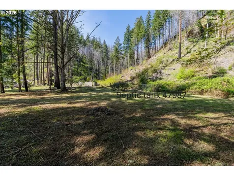 47987 Mckenzie Highway Vida OR 97488