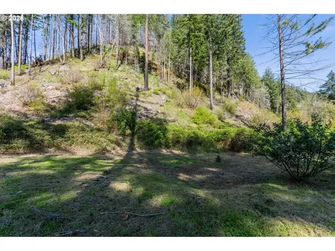 47987 Mckenzie Highway Vida OR 97488