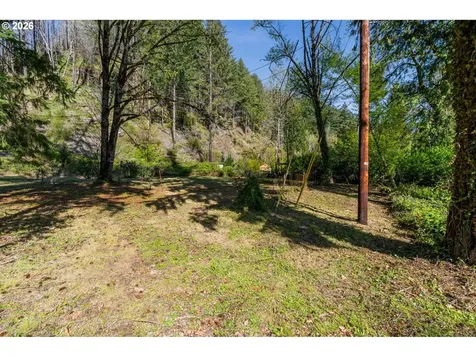 47987 Mckenzie Highway Vida OR 97488