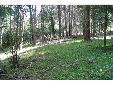 0 Tram Lane Wallowa Lake OR 97846