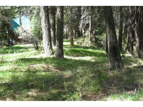 0 Tram Lane Wallowa Lake OR 97846