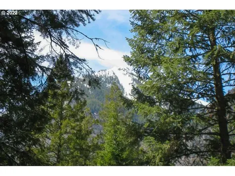 0 Tram Lane Wallowa Lake OR 97846