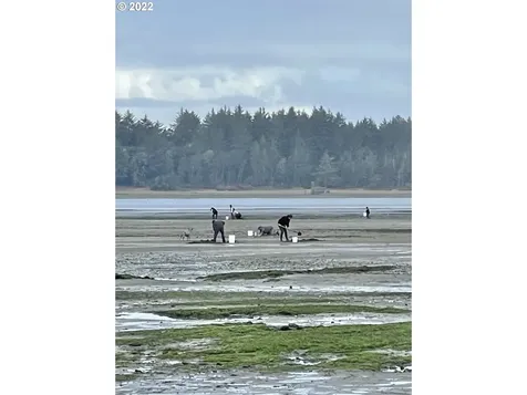 92252 Cape Arago Highway Coos Bay OR 97420
