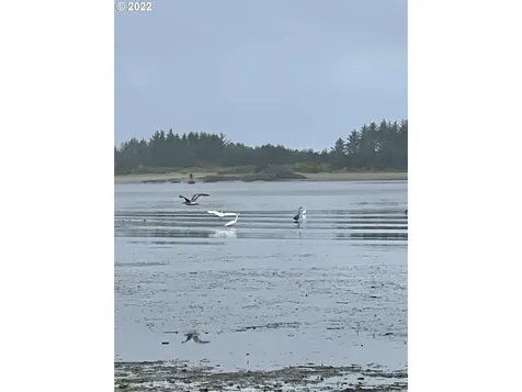 92252 Cape Arago Highway Coos Bay OR 97420