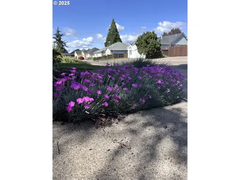 764 Impala Avenue Eugene OR 97404