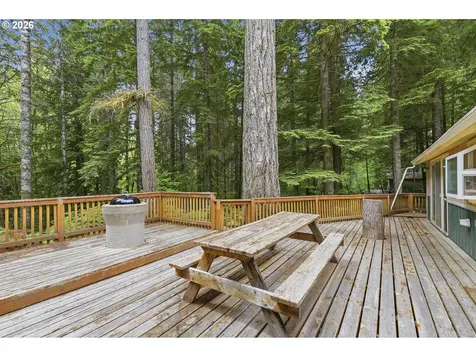 191 Northwoods Cabin Cougar WA 98616