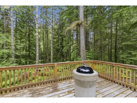 191 Northwoods Cabin Cougar WA 98616