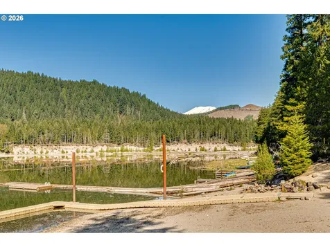191 Northwoods Cabin Cougar WA 98616