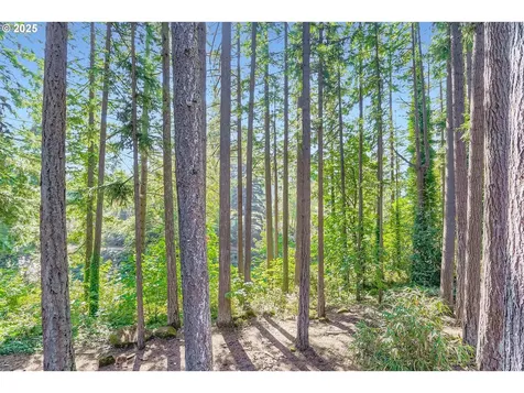 14546 S Kelmsley Drive Oregon City OR 97045