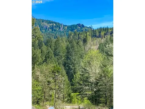 2965 Cavitt Creek Road Glide OR 97443