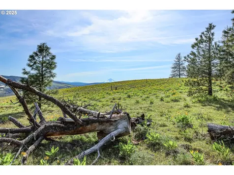5656 Cherry Heights Road The Dalles OR 97058