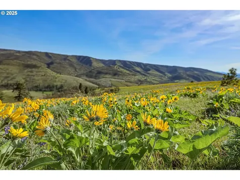 5656 Cherry Heights Road The Dalles OR 97058