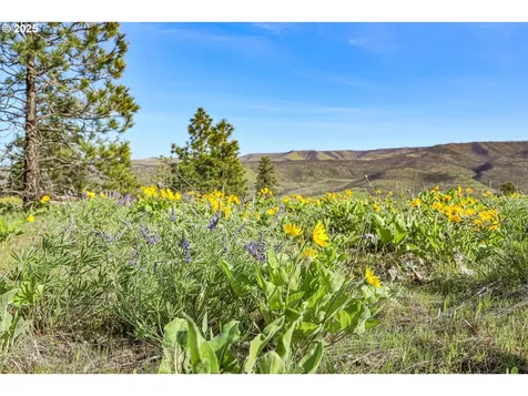 5656 Cherry Heights Road The Dalles OR 97058