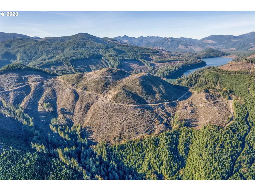 0 Usfs 81 Road Cougar WA 98616