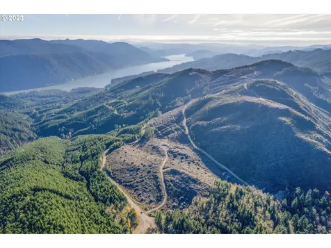 0 Usfs 81 Road Cougar WA 98616