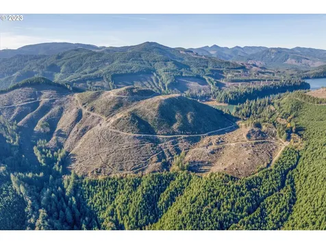 0 Usfs 81 Road Cougar WA 98616