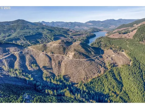 0 Usfs 81 Road Cougar WA 98616