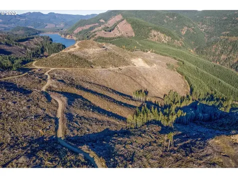 0 Usfs 81 Road Cougar WA 98616