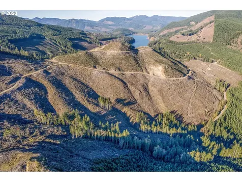 0 Usfs 81 Road Cougar WA 98616