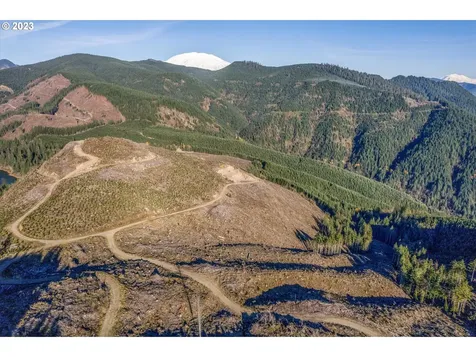 0 Usfs 81 Road Cougar WA 98616