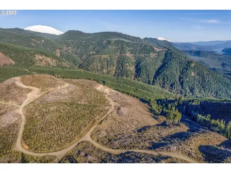 0 Usfs 81 Road Cougar WA 98616