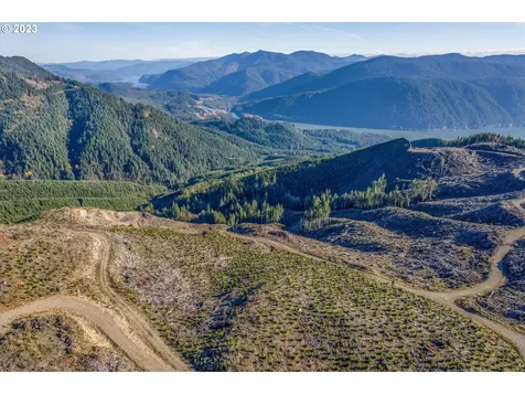 0 Usfs 81 Road Cougar WA 98616