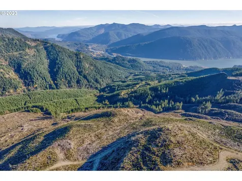 0 Usfs 81 Road Cougar WA 98616