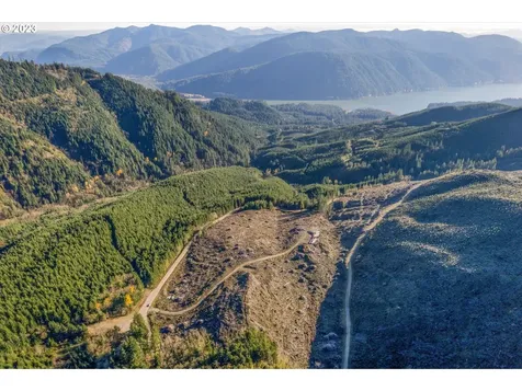 0 Usfs 81 Road Cougar WA 98616