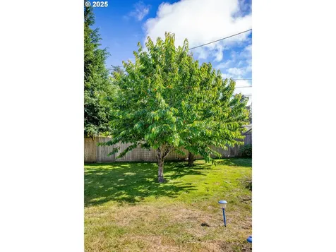 1449 Myrtle Avenue Coos Bay OR 97420