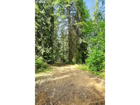 5745 Trout Creek Ridge Road Mt Hood Prkdl OR 97041