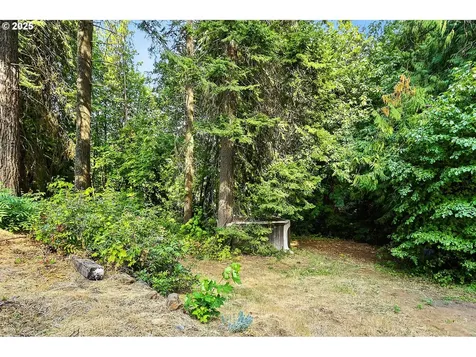 5745 Trout Creek Ridge Road Mt Hood Prkdl OR 97041