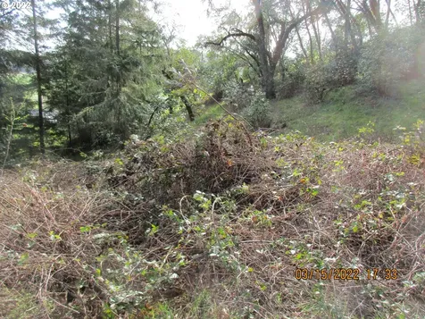 0 Melon Lane Roseburg OR 97471