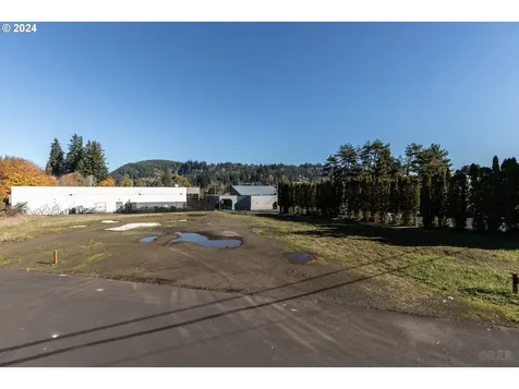 SW Bel Air Drive Clatskanie OR 97016