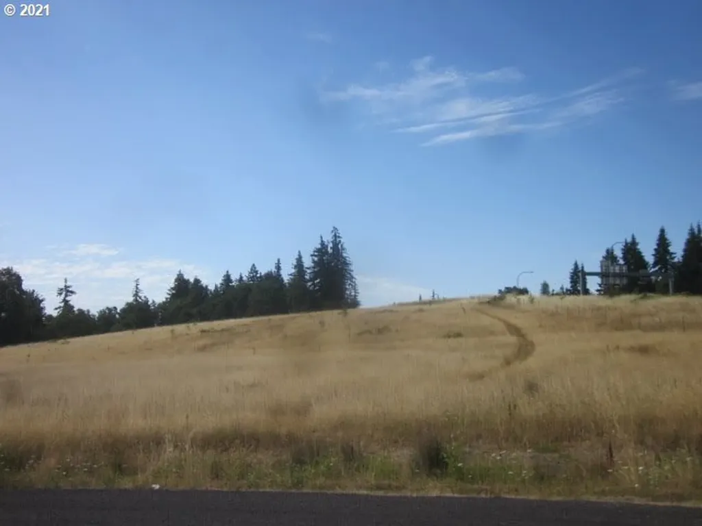 0 NE 209 Street Ridgefield WA 98642