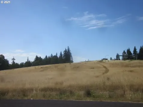0 NE 209 Street Ridgefield WA 98642