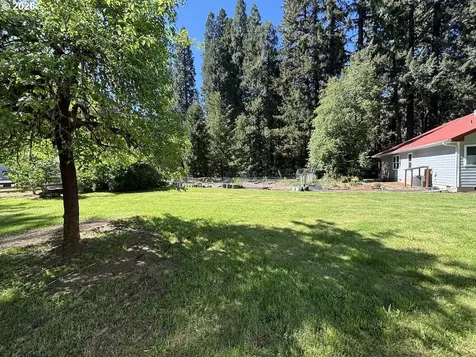 91793 Horse Creek Road Mckenzie Bridge OR 97413