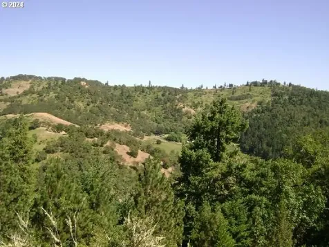 0 Newton Creek Road Roseburg OR 97470